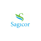 Sagi